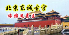 又粗又大的鸡巴操女人逼啪啪视频中国北京-东城古宫旅游风景区