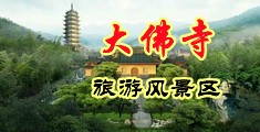 大鸡巴操我不要停视频中国浙江-新昌大佛寺旅游风景区